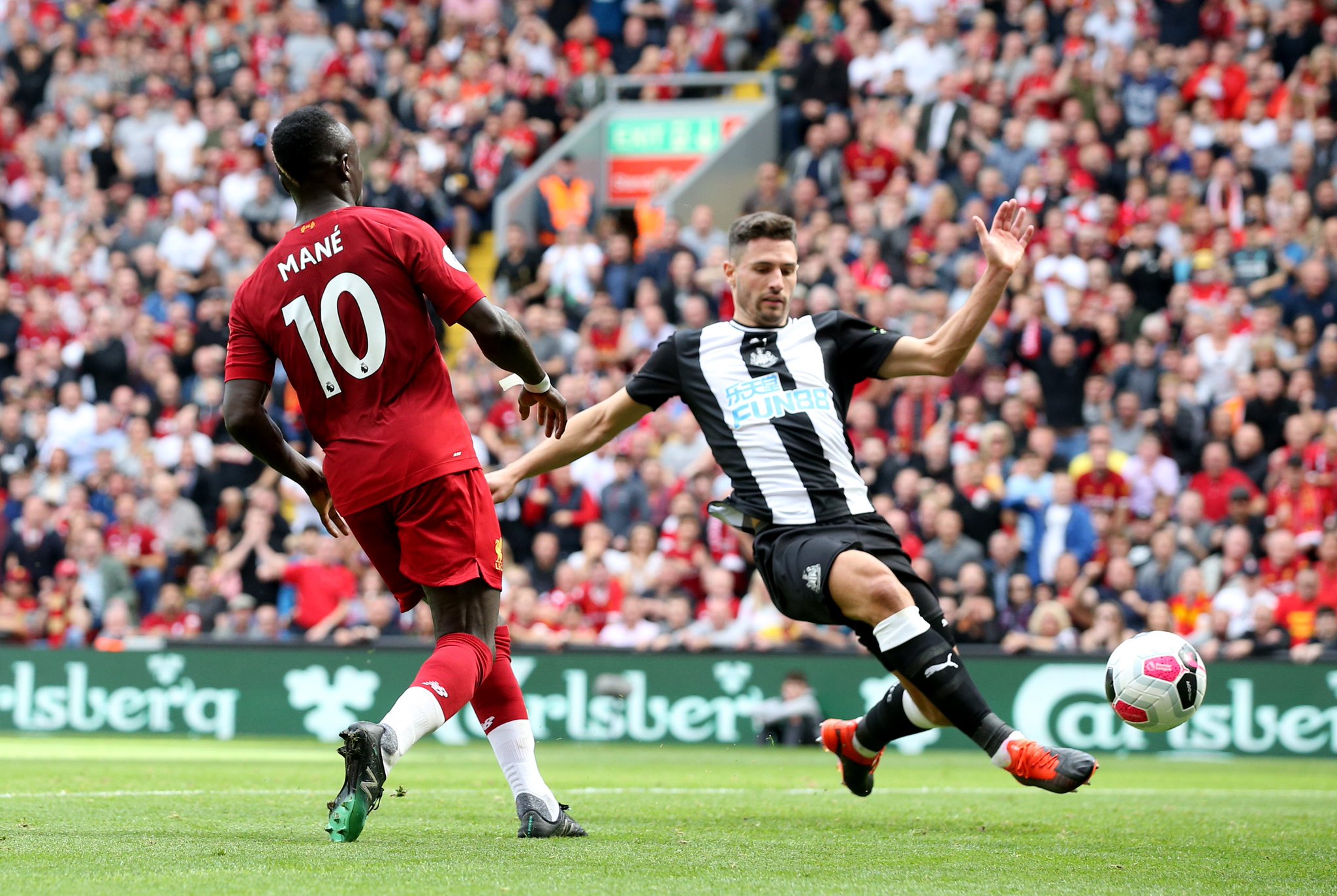 球迷不仅能 球迷不仅能